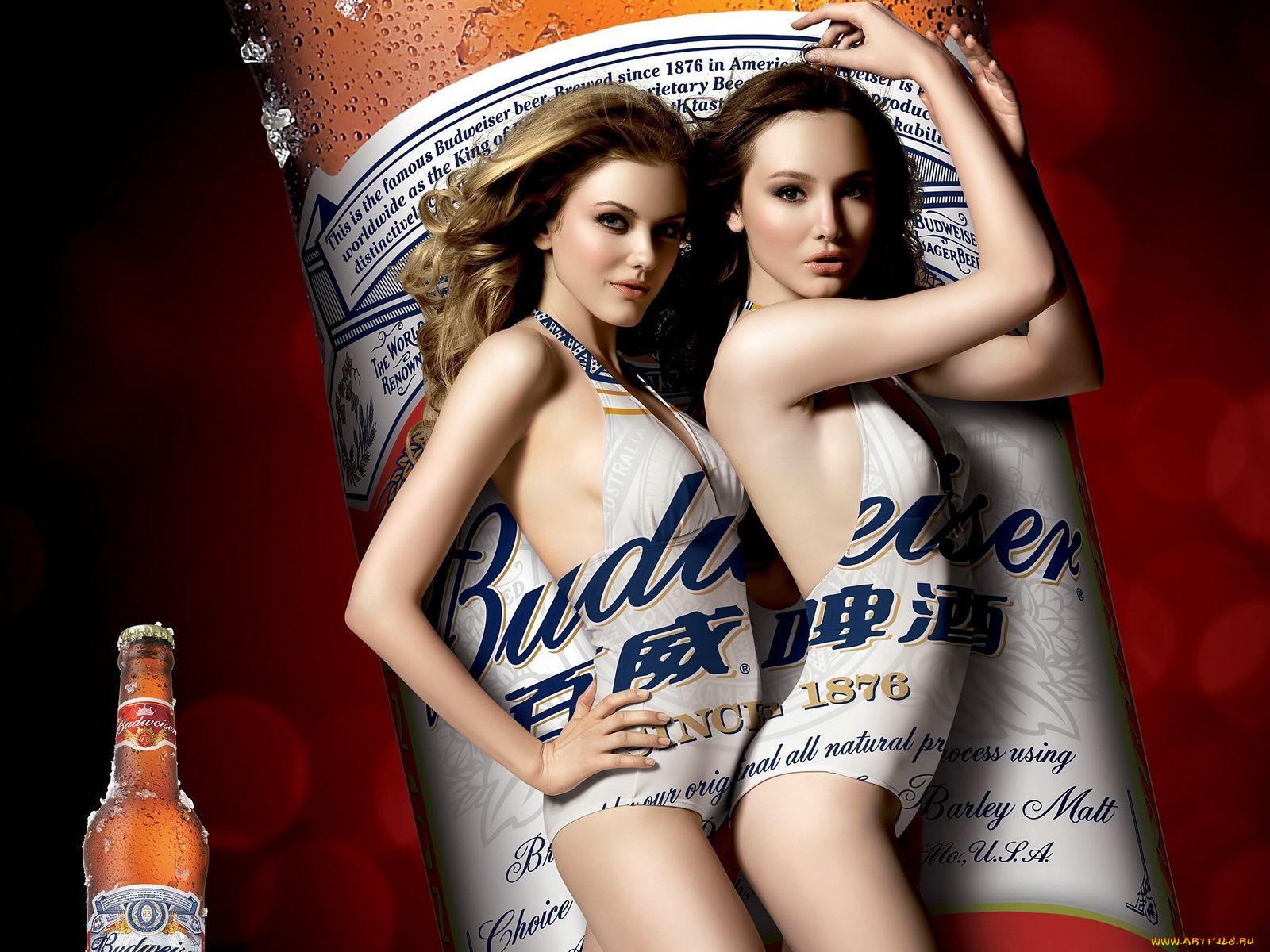 , budweiser